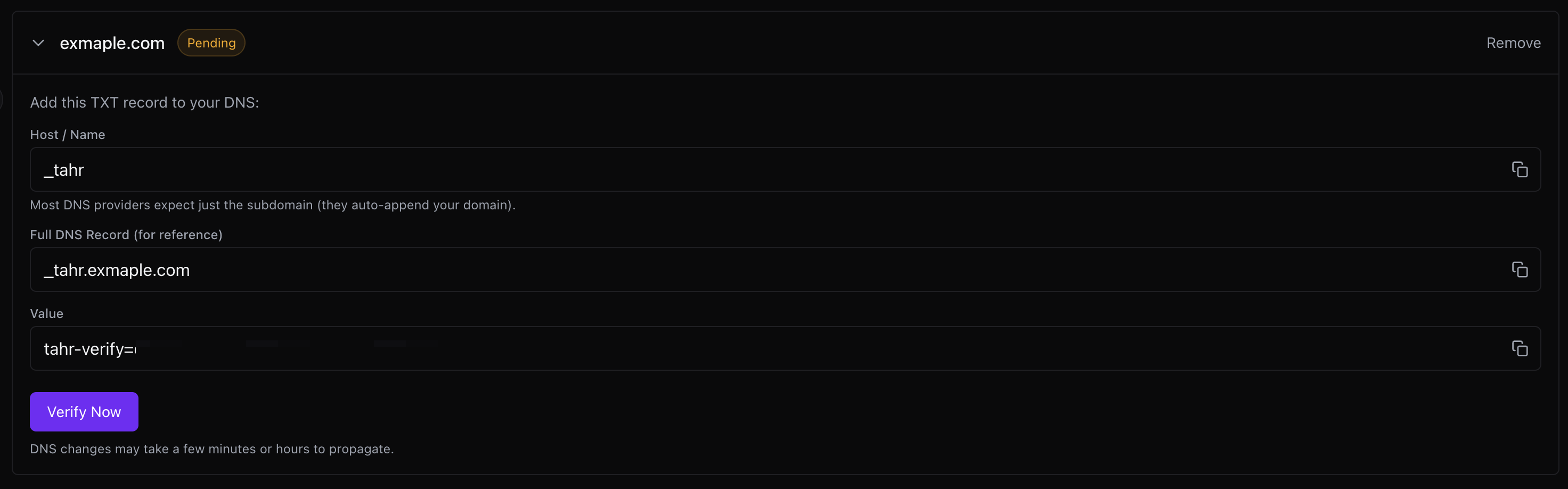 Pending domain expanded with TXT record values and Verify Now button